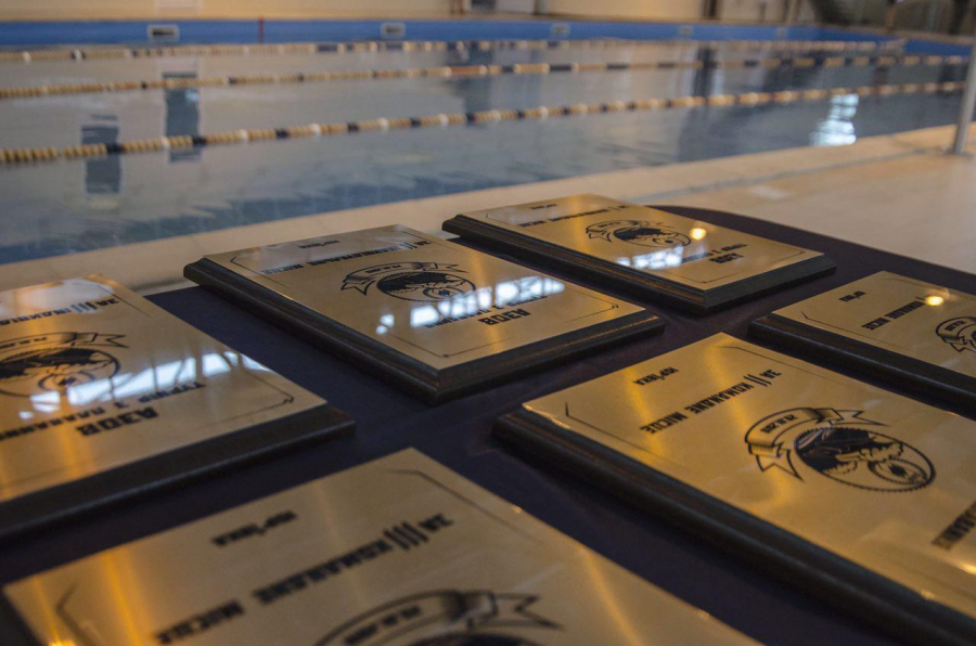 АЗОВЦІ ПОЗМАГАЛИСЯ У ПЛАВАННІ