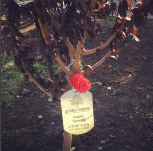 ПЕРШИЙ ПОЛЕГЛИЙ АЗОВЕЦЬ: ЧОТИРИ РОКИ БЕЗ БАЛАГАНА