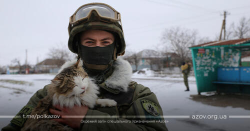 Азов Павлопіль-Широкинська операція